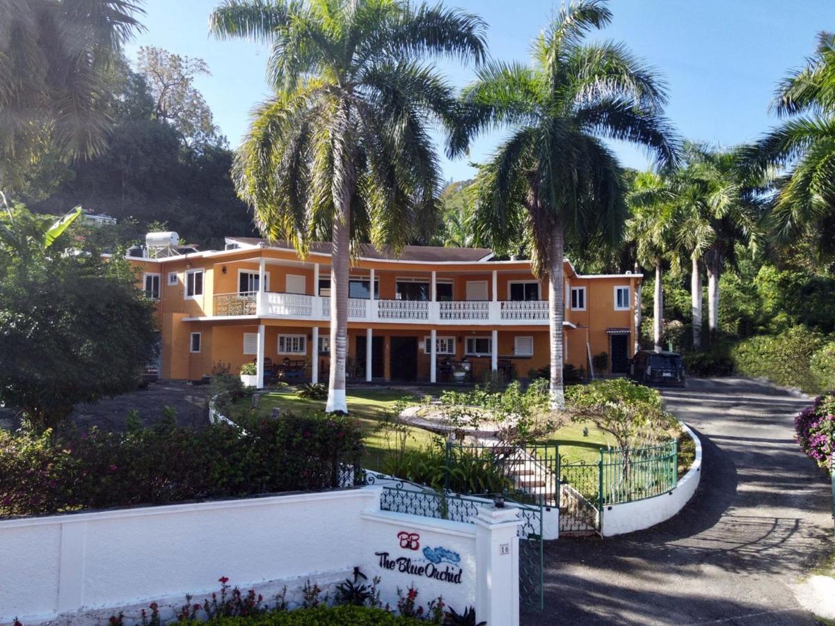 The Blue Orchid B&B Montego Bay Exterior photo